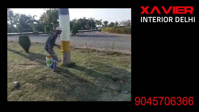 Paint Polish and wooden designing in Delhi,NCR ,Noida and Gurgaon