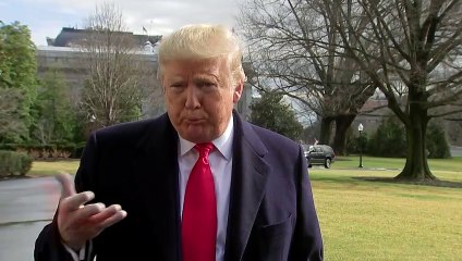 Mamífero em extinção pode ser transmissor do novo coronavírus