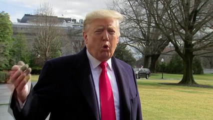 Mamífero em extinção pode ser transmissor do novo coronavírus