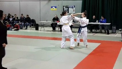 Montage WEB Judo