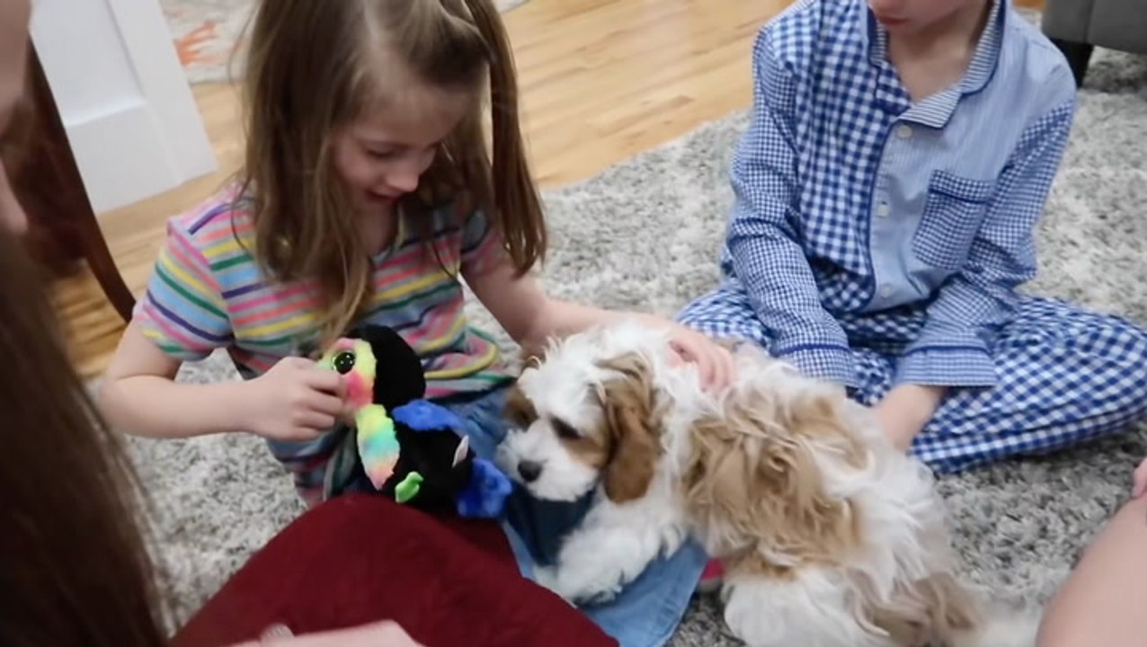 6 Kids, 1 Surprise Puppy, And A Whole Lot Of Excitement