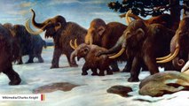 Scientists Resurrect Woolly Mammoth DNA