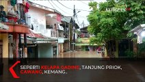Hujan Lebat Jumat Malam, Jakarta Banjir Lagi!!