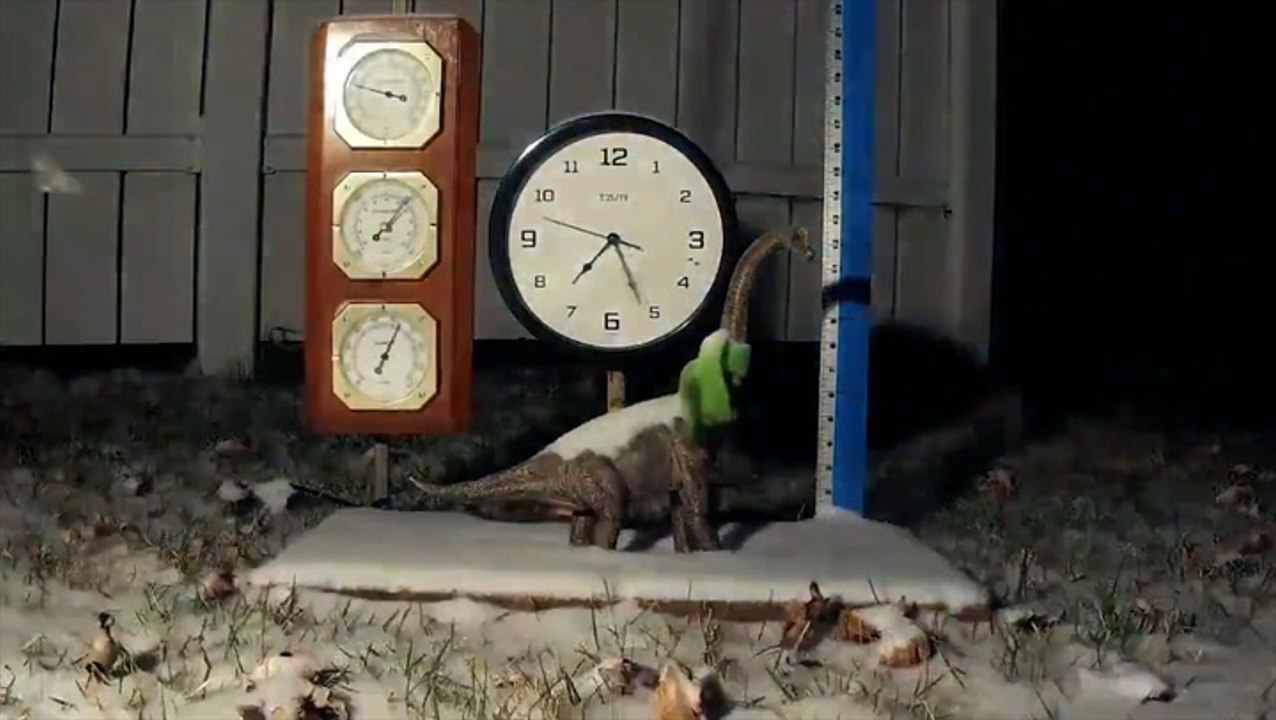 Watch how quickly the snow piled up in Ohio
