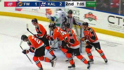 Game Recap - Fort Wayne Komets at Kalamazoo Wings