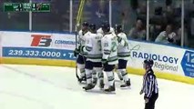 Game Recap - Greenville Swamp Rabbits at Florida Everblades
