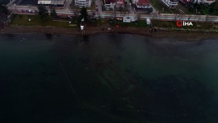 Kış kurak geçince İznik Gölü'ndeki bazilika ortaya çıktı