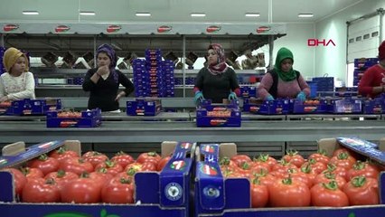 Antalya rusya çin'le sınırını kapattı, ihracatta artış bekleniyor