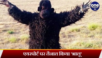 Ahmedabad Airport पर langoor के आतंक रोकने के लिए तैनात किया गया Bear, देखिए VIDEO | वनइंडिया हिंदी