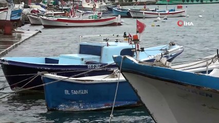 Balıkçılar 'Çaça avcılığı' ile ayakta duruyor