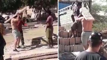 जोधपुर में 'मजदूर' बने अमेरिका के पर्यटक, बड़े-बड़े पत्थर उठाते का VIDEO वायरल