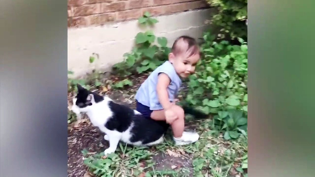 Funniest Baby And Cats Moments -  Fun and Fails