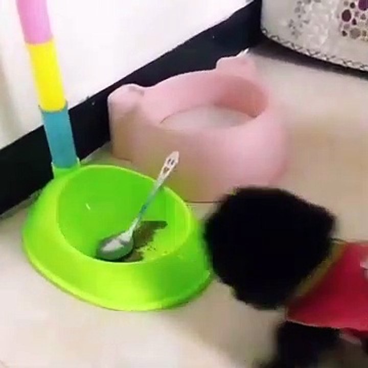Don't Brother Me #love_life_animals