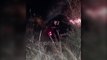Udhëtonte natën, makina bie në lumin Shkumbin, vdes 35 vjeçari