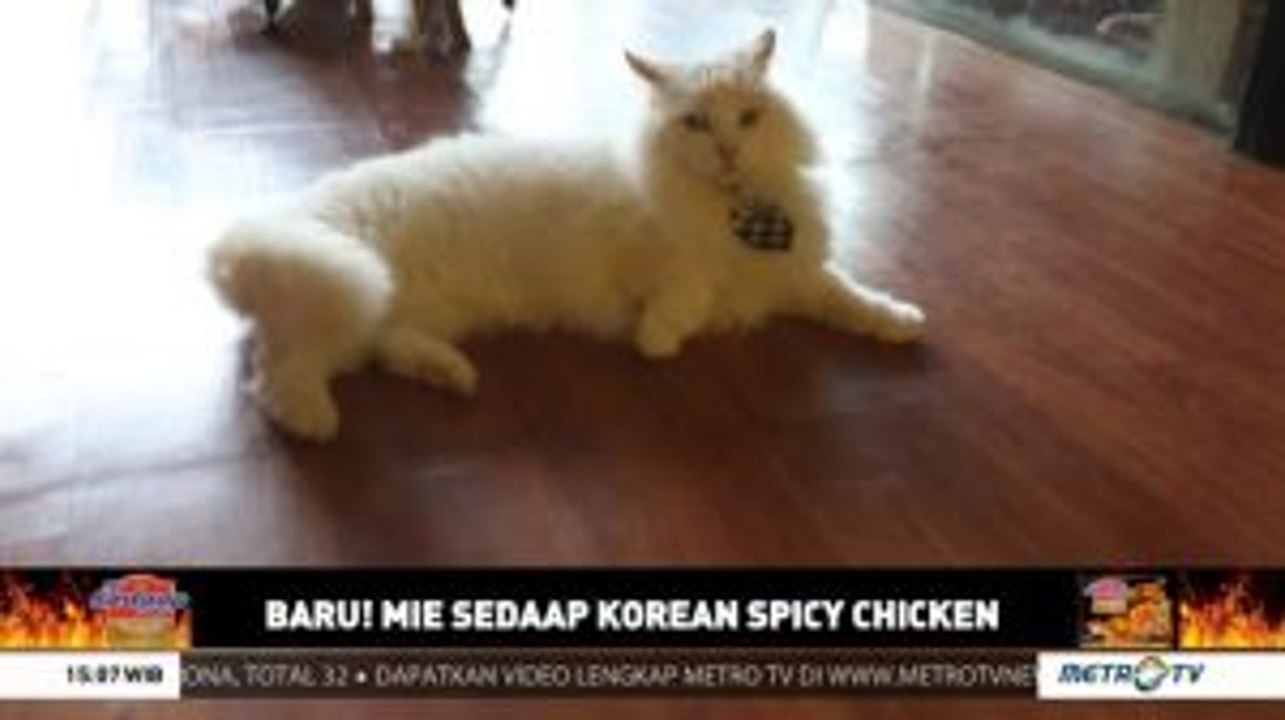 101 Pet Lovers (1)