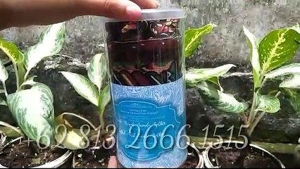 OBRAL!!! +62 813-2666-1515, Harga Sajadah Travel di Surabaya