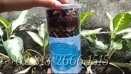 OBRAL!!! +62 813-2666-1515, Jual Sajadah Traveling Surabaya