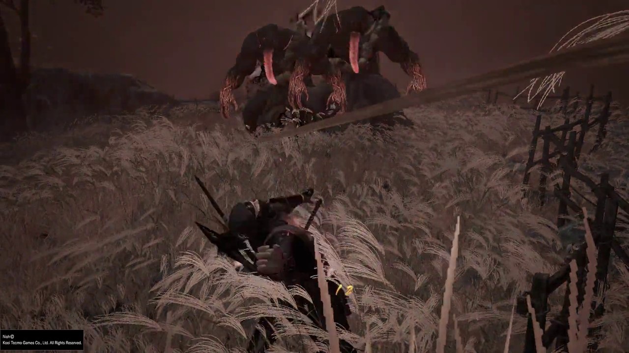 Nioh: Fail
