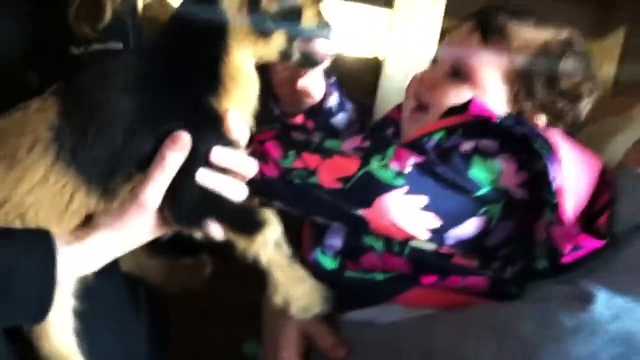 Funniest Baby On A Farm