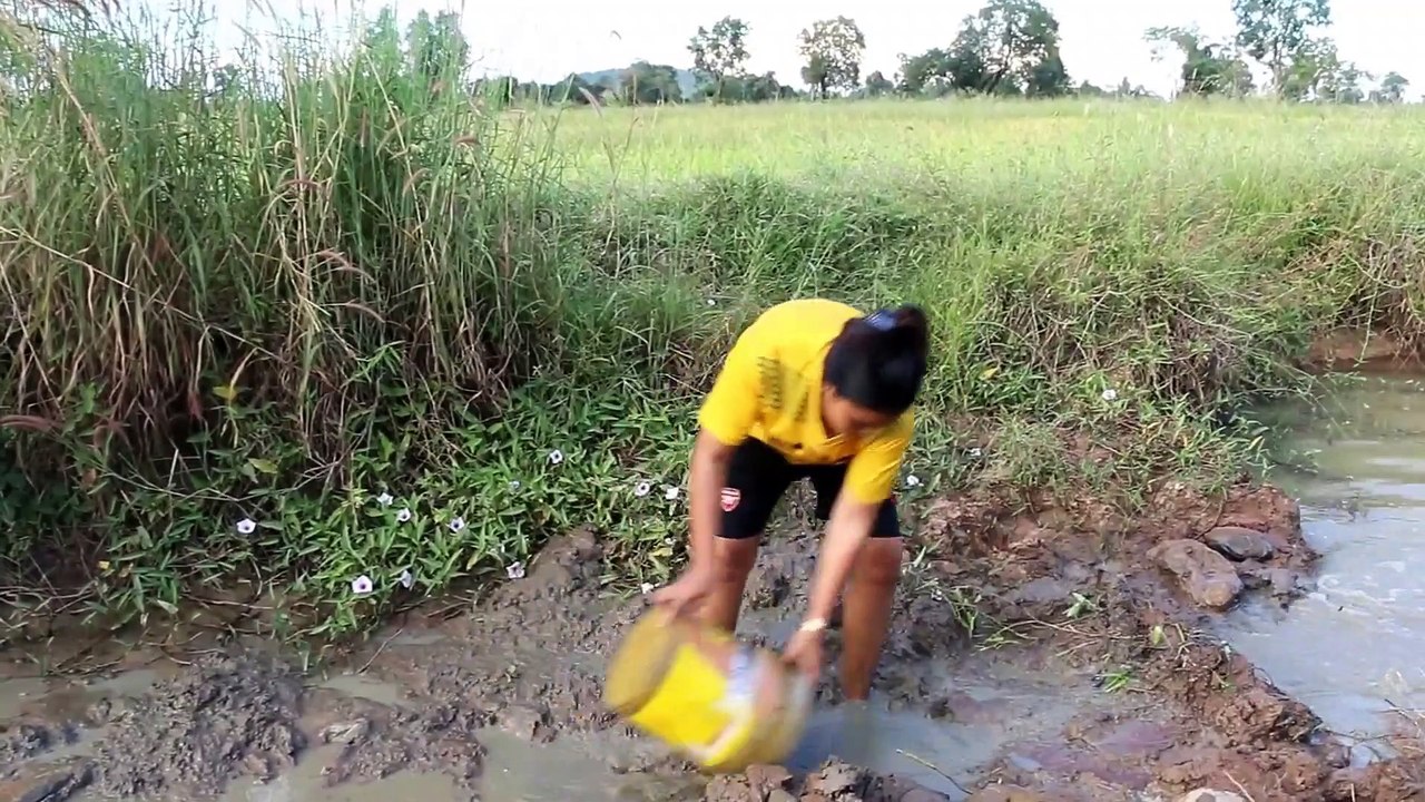 Amazing Fishing In Battambang - How To Catches Cambodia Traditional Fishing (part 9)