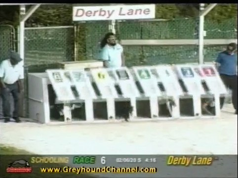 greyhound dog racing results