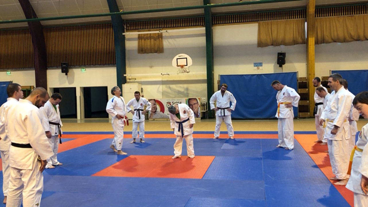 La championne du monde Françoise Dufresne anime un cours de judo adapté