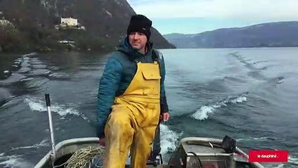 La pêche au lavaret sur son rythme de croisière au lac du Bourget
