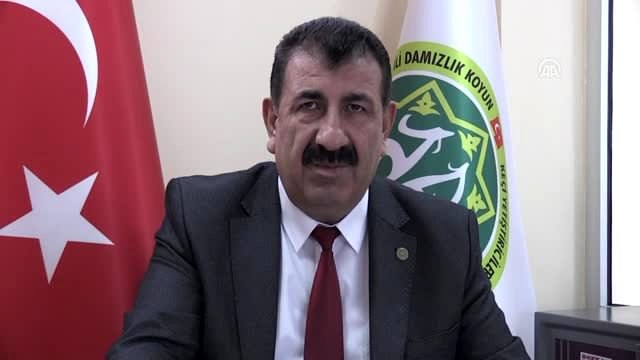 Küçükbaş hayvancılık sektörü 2023'e odaklandı