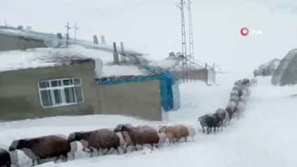 Şiddetli tipi ve fırtınanın boyutu kameralara yansıdı
