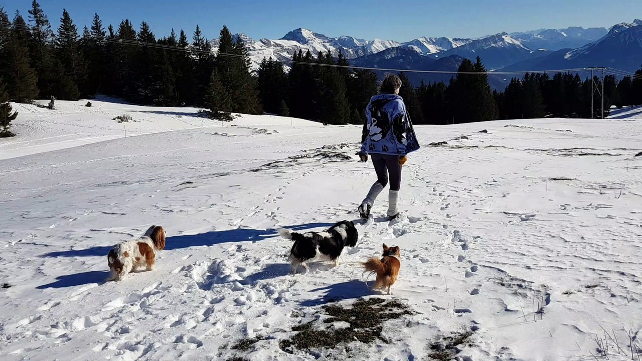 Dans la neige au Semnoz