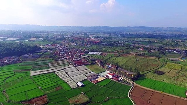 Around TAMAN BUNGA Cipanas Puncak