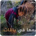 في الجبل الوسطاني بريف ادلب، طفلة في التاسعة، ابنة لاب عاجر وأم مريضة، تقطف النرجس من أجل رغيف خبز