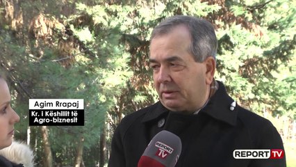 Rimbursimi i qumështit, kryetari i Agro-biznesit për Report Tv: Skema e re, vështirë të realizohet