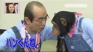 chimpainjee ping pong khelana seekhate hain