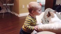 Cute Dogs and Babies are Best Friends - Dogs Babysitting Babies Video