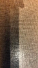 La España sin voz - Prueba