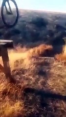 BMX Rider Jumps A Ramp And Fails