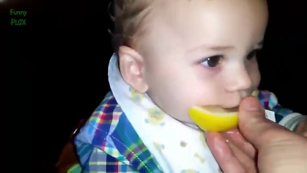 Babies Eating Lemons for the First Time Compilation