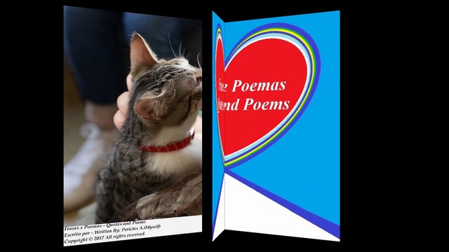 Meus animais me dão mais carinho do que você, se não der valor perderá meu amor! [Frases e Poemas]