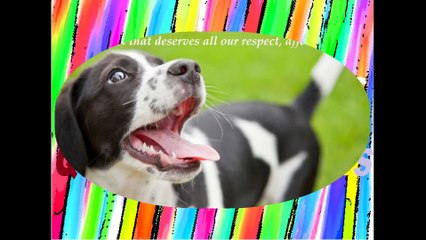 Have animal that does not know you, treats you better than any human being! [Quotes and Poems]