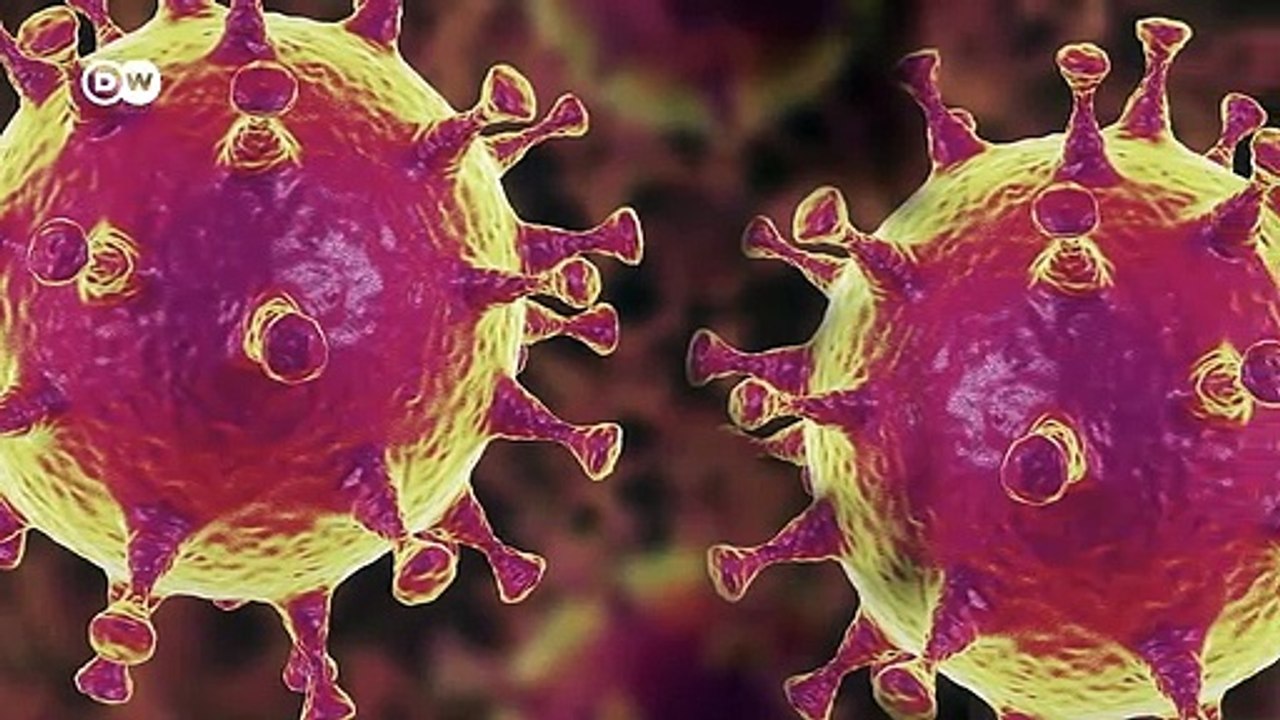 Coronavirus explained- Where it came from and how to stop it
