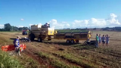 Enquanto realizava colheita, homem encosta na rede de alta tensão e fica em estado grave