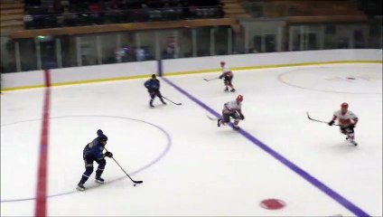 Lewis Houston's overtime game-winning goal for Leeds Chiefs against Telford Tigers