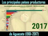 Principales países productores de AGUACATE - PALTA en el mundo.
