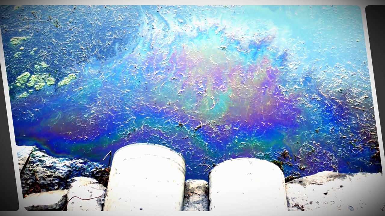 h'wat the pudding about?