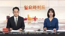 민주당, 정봉주 총선후보자 적격판정 또 보류