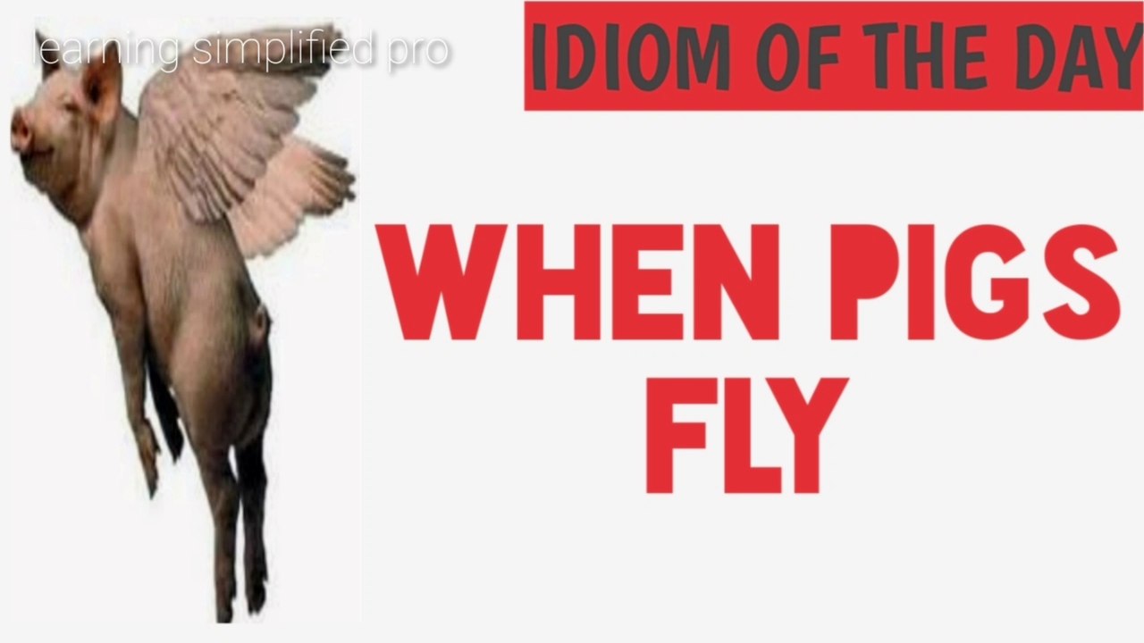 Idiom: When pigs fly