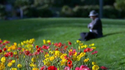 videos cortos   10 segundos mp4