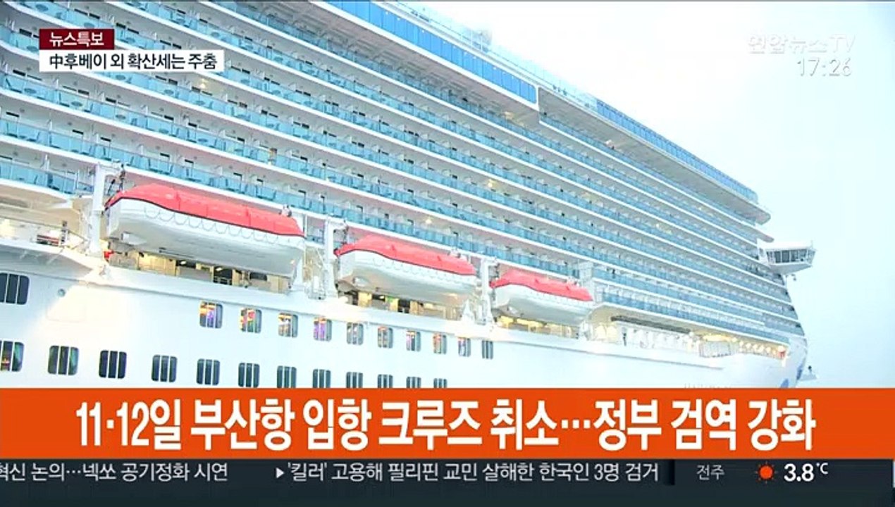 신종코로나 여파 크루즈 부산항 입항 사실상 중단