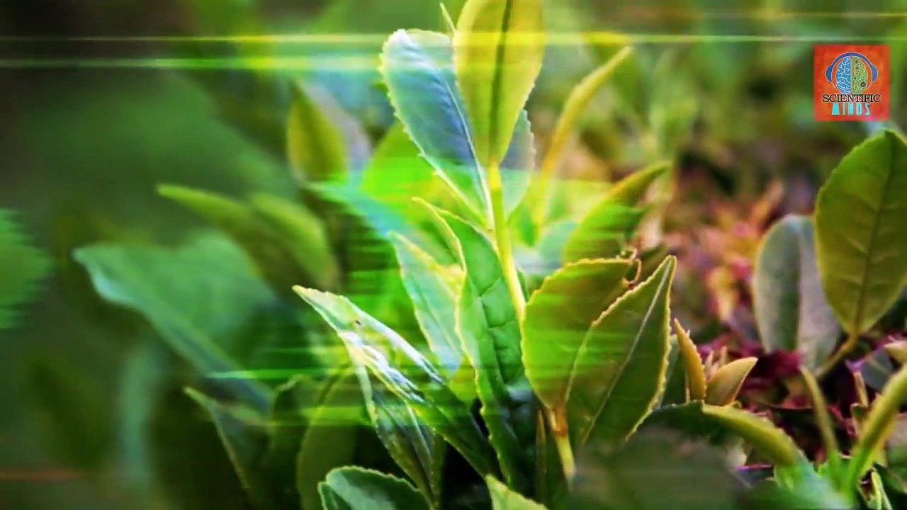 इसने ऐसा क्यों किया - Scientist Injects himself with 3.5 Million years Old BACTERIA -Medical Science